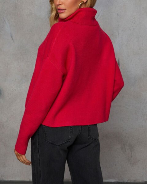 RED SWEATER